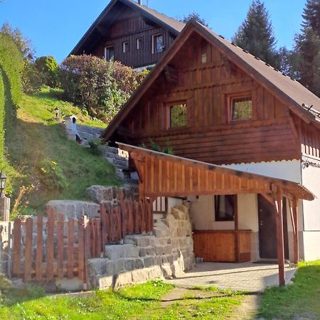 Apartman Albrecht Albrechtice v Jizerskych horach Dış mekan fotoğraf