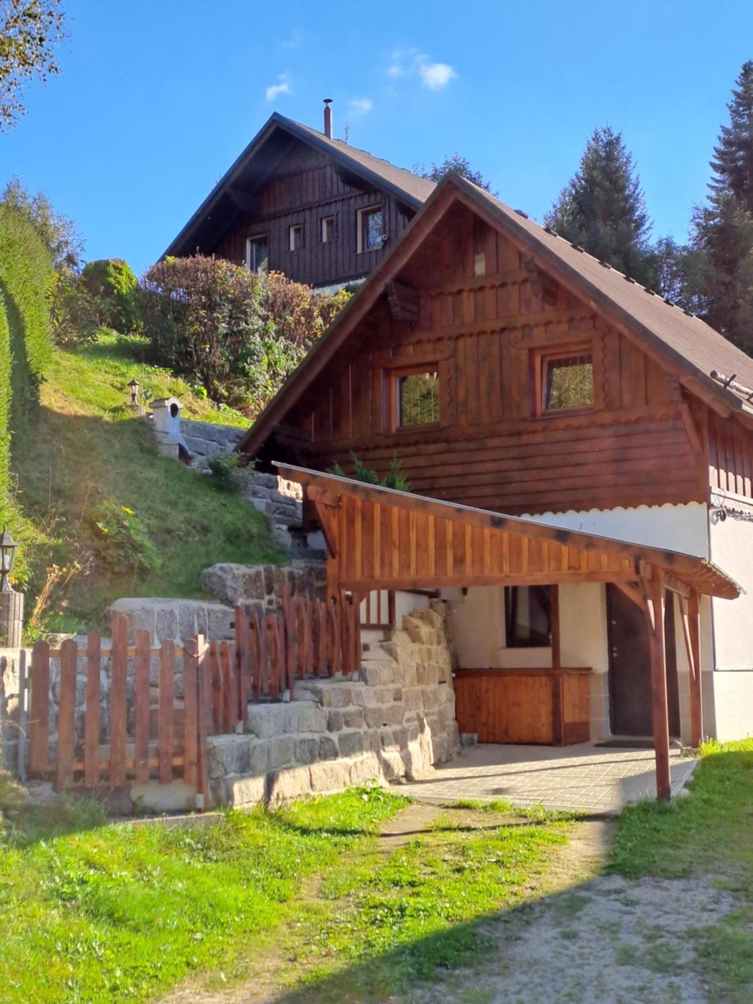 Apartman Albrecht Albrechtice v Jizerskych horach Dış mekan fotoğraf